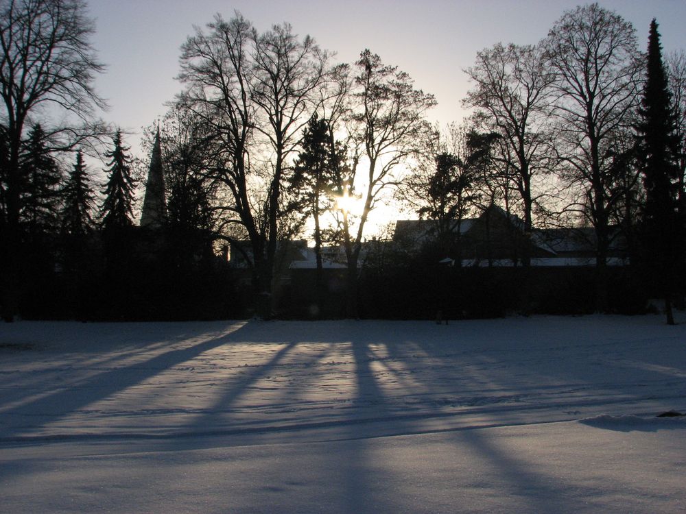 Schatten - im Burggarten Salzwedel