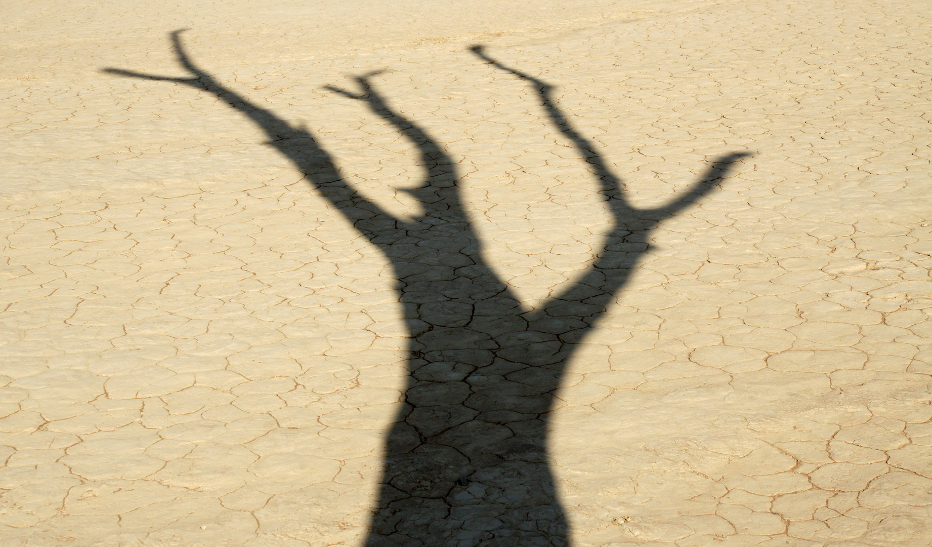 Schatten im Dead Vlei