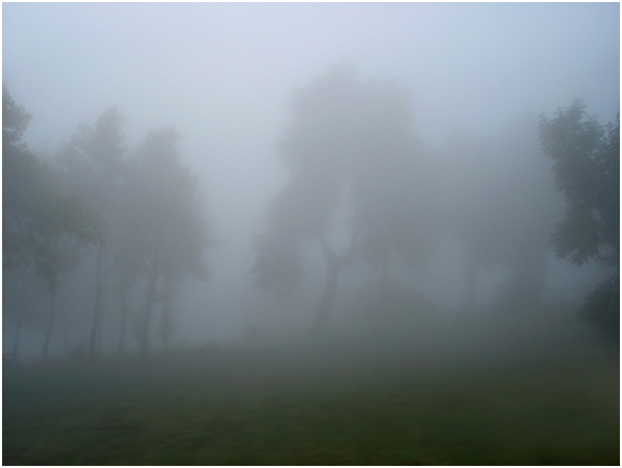 Schatten im Druidennebel