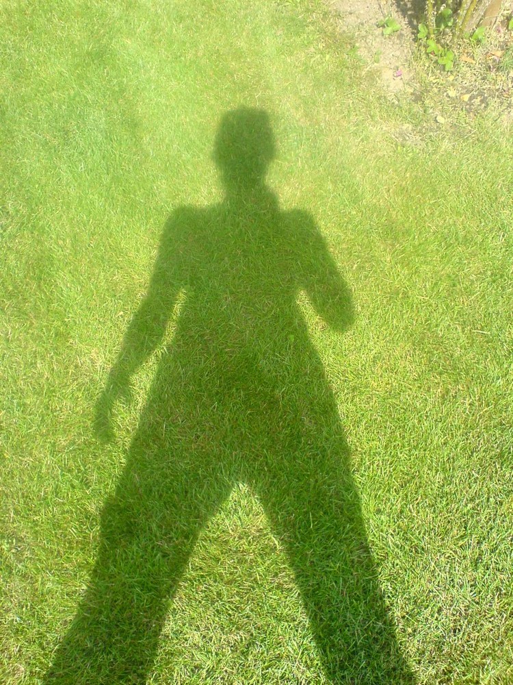Schatten im Gras