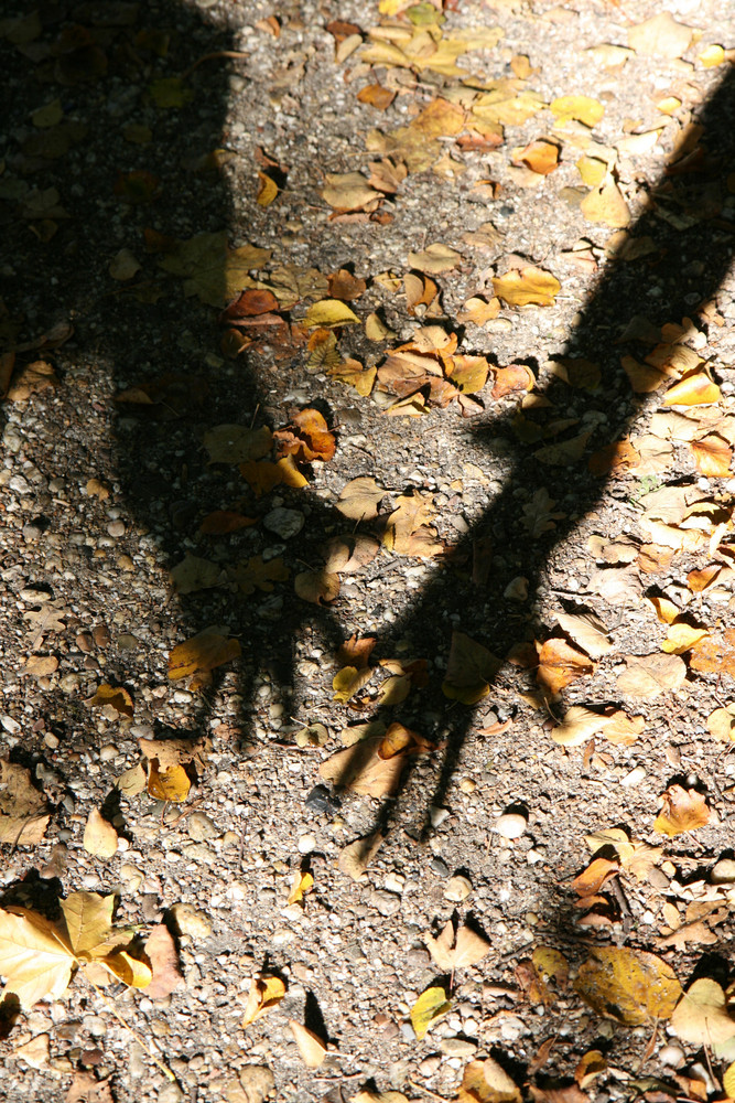 Schatten im Herbst