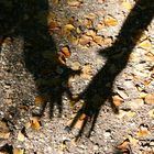 Schatten im Herbst