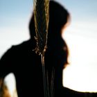 Schatten im Kornfeld