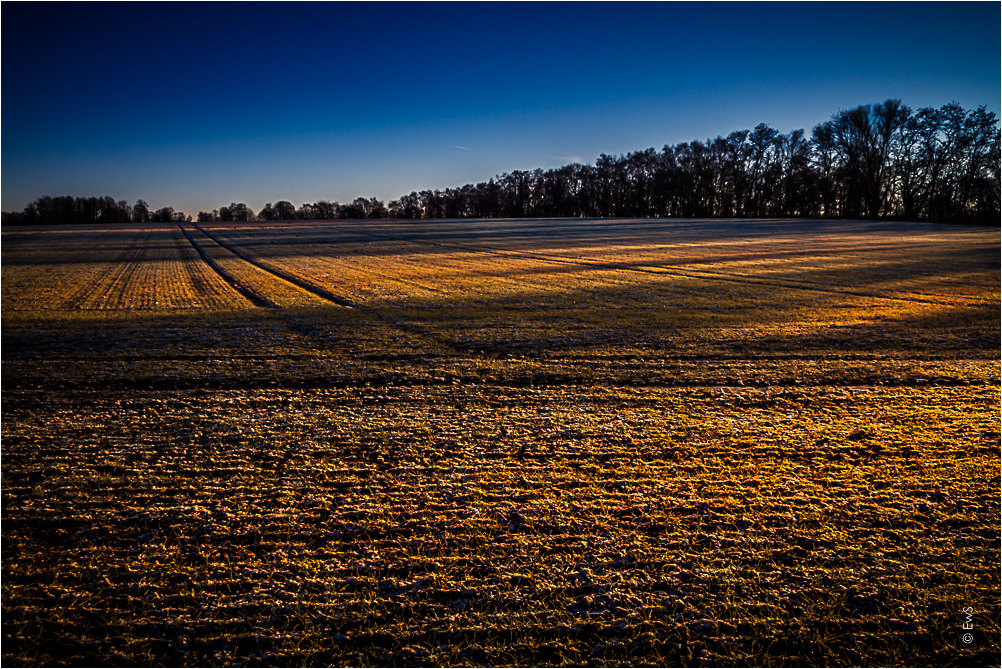 Schatten im Licht