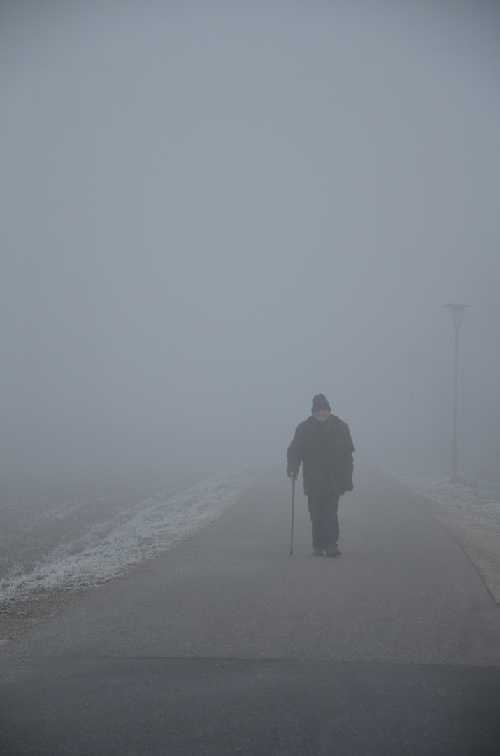 Schatten im Nebel