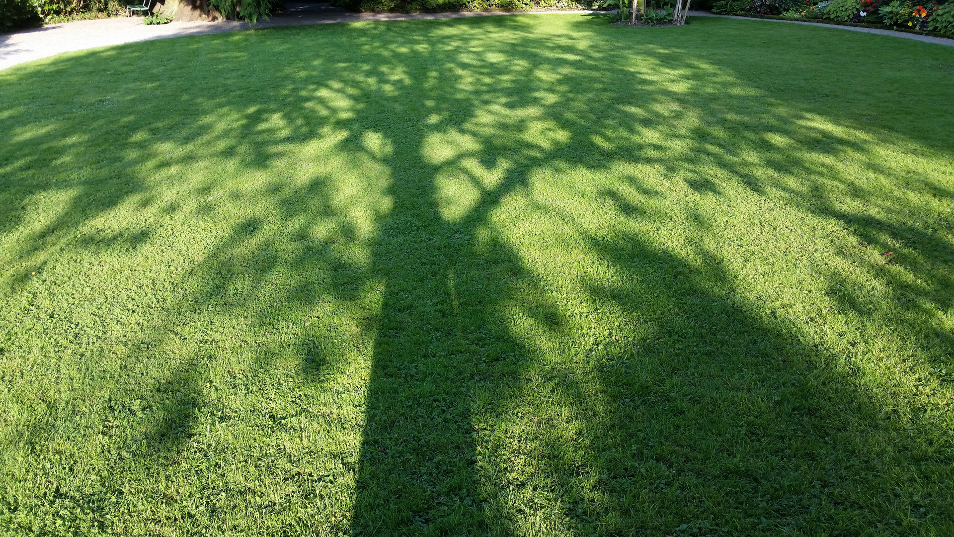 Schatten im Park