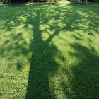 Schatten im Park