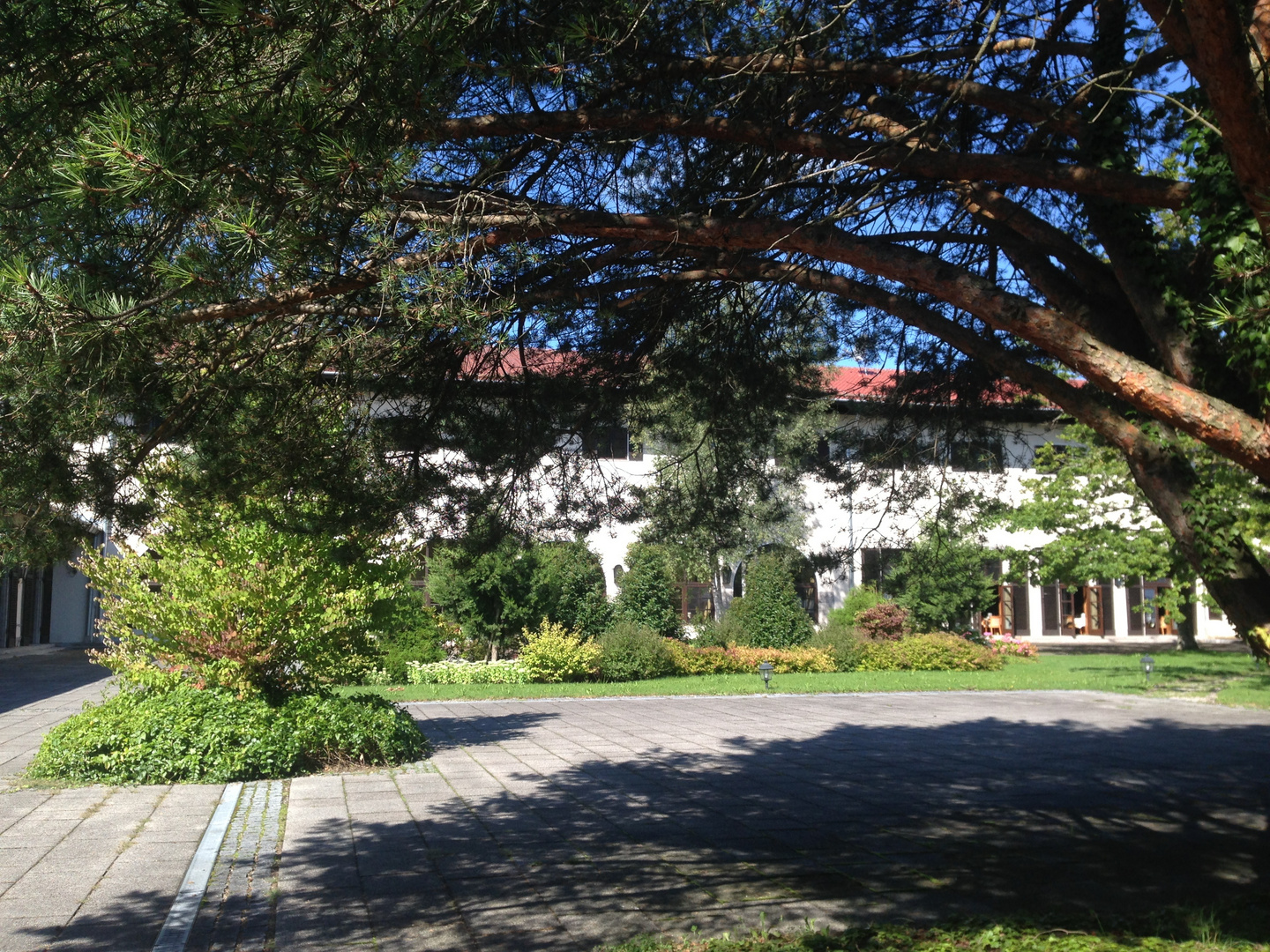 Schatten im Park