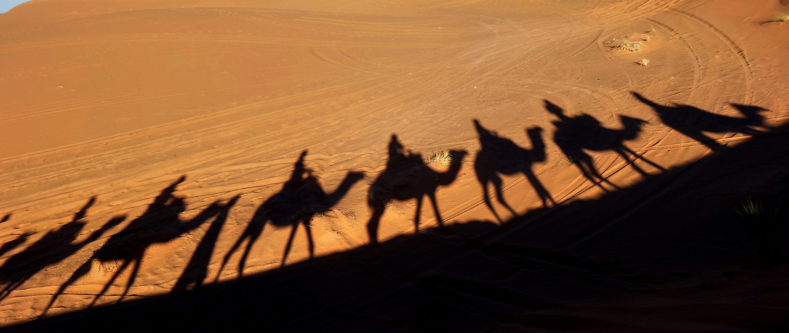 Schatten im Sand