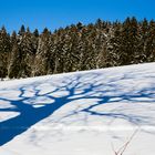 Schatten im Schnee