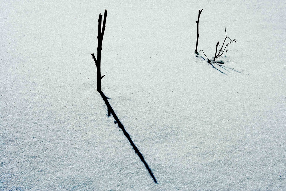 Schatten im Schnee