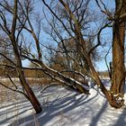 Schatten im Schnee