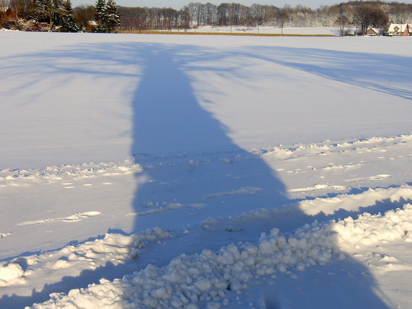 Schatten im Schnee