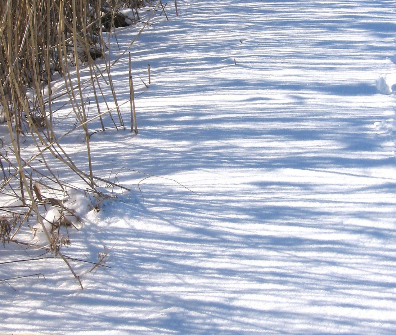 Schatten im Schnee