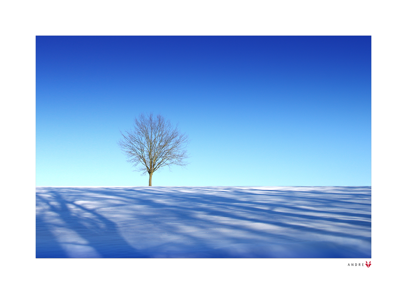 SCHATTEN IM SCHNEE