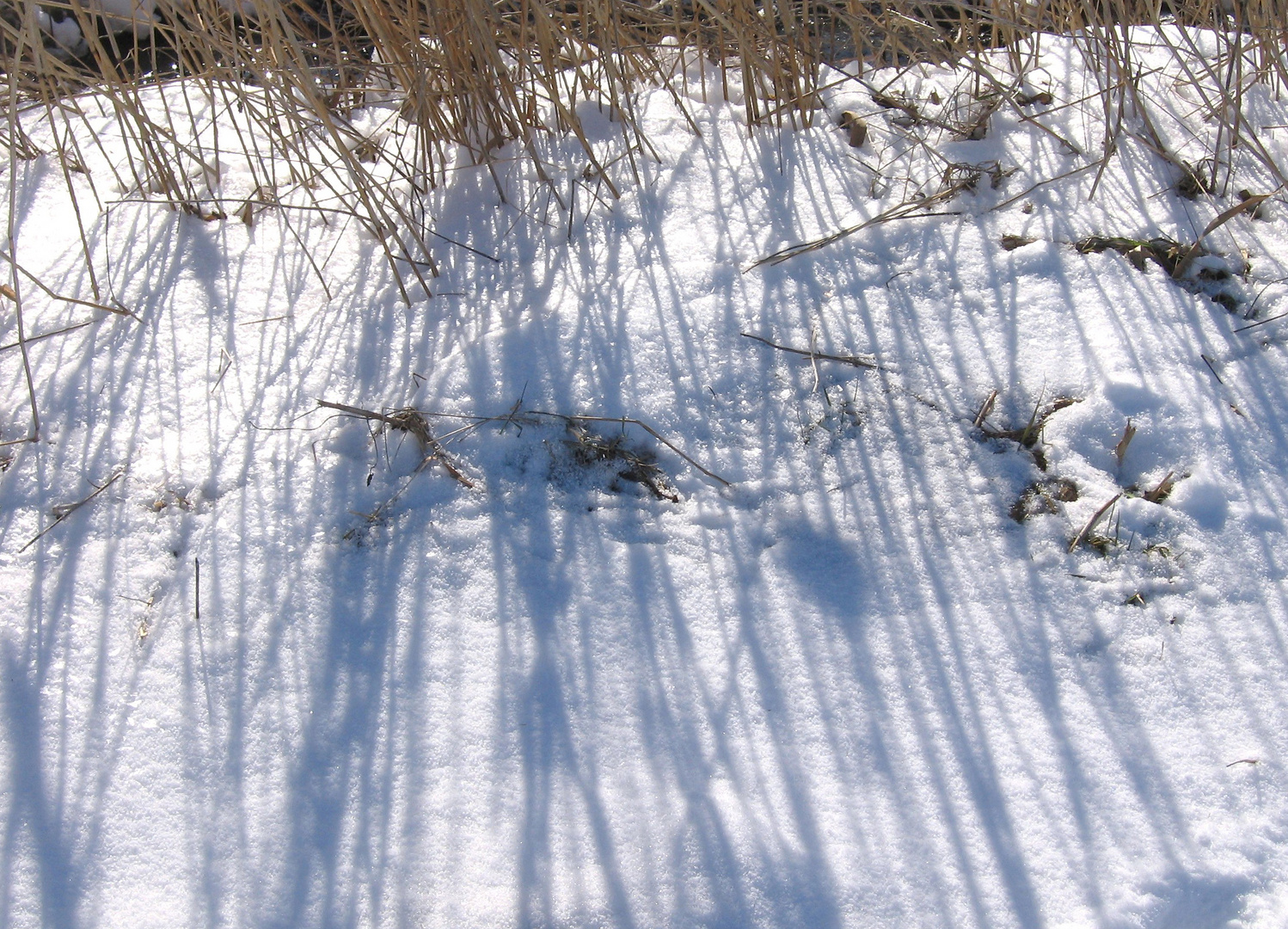 Schatten im Schnee2