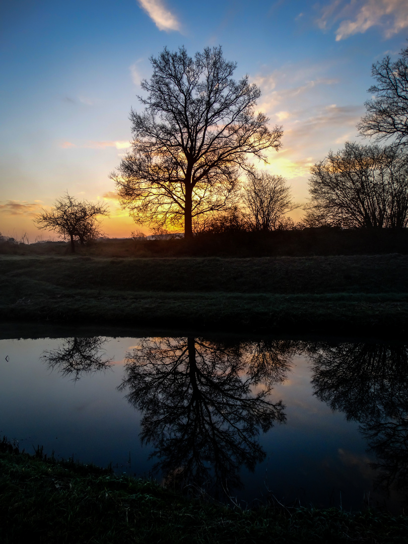 Schatten im See