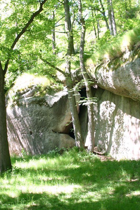 Schatten im Sommer