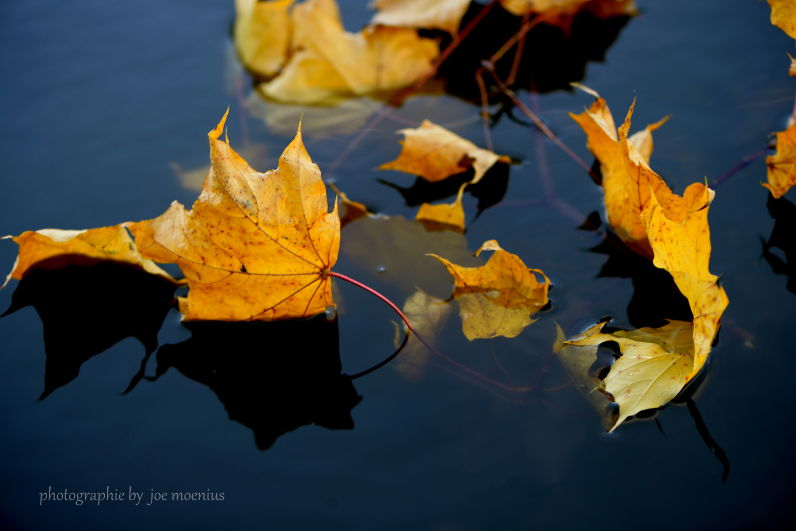 Schatten im Wasser.