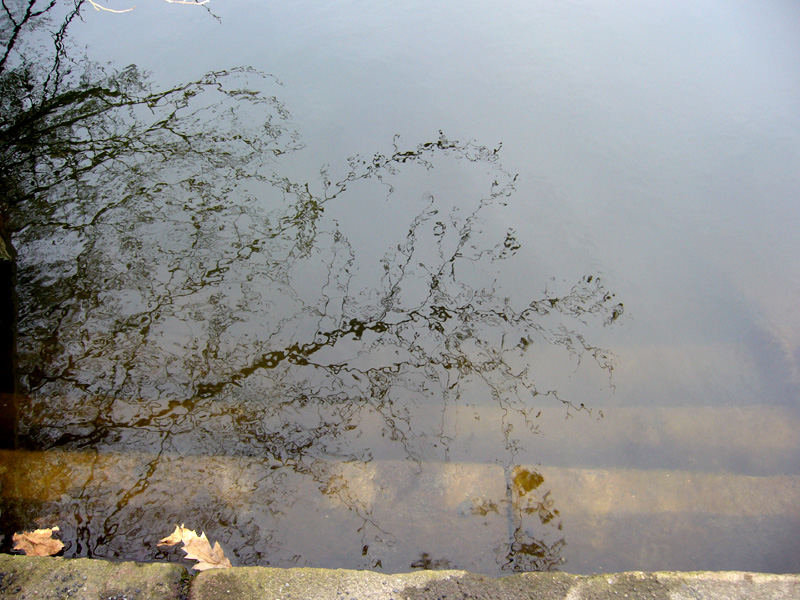 Schatten im Wasser