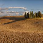 Schatten im Wind