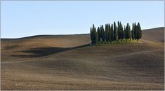 Schatten im Wind