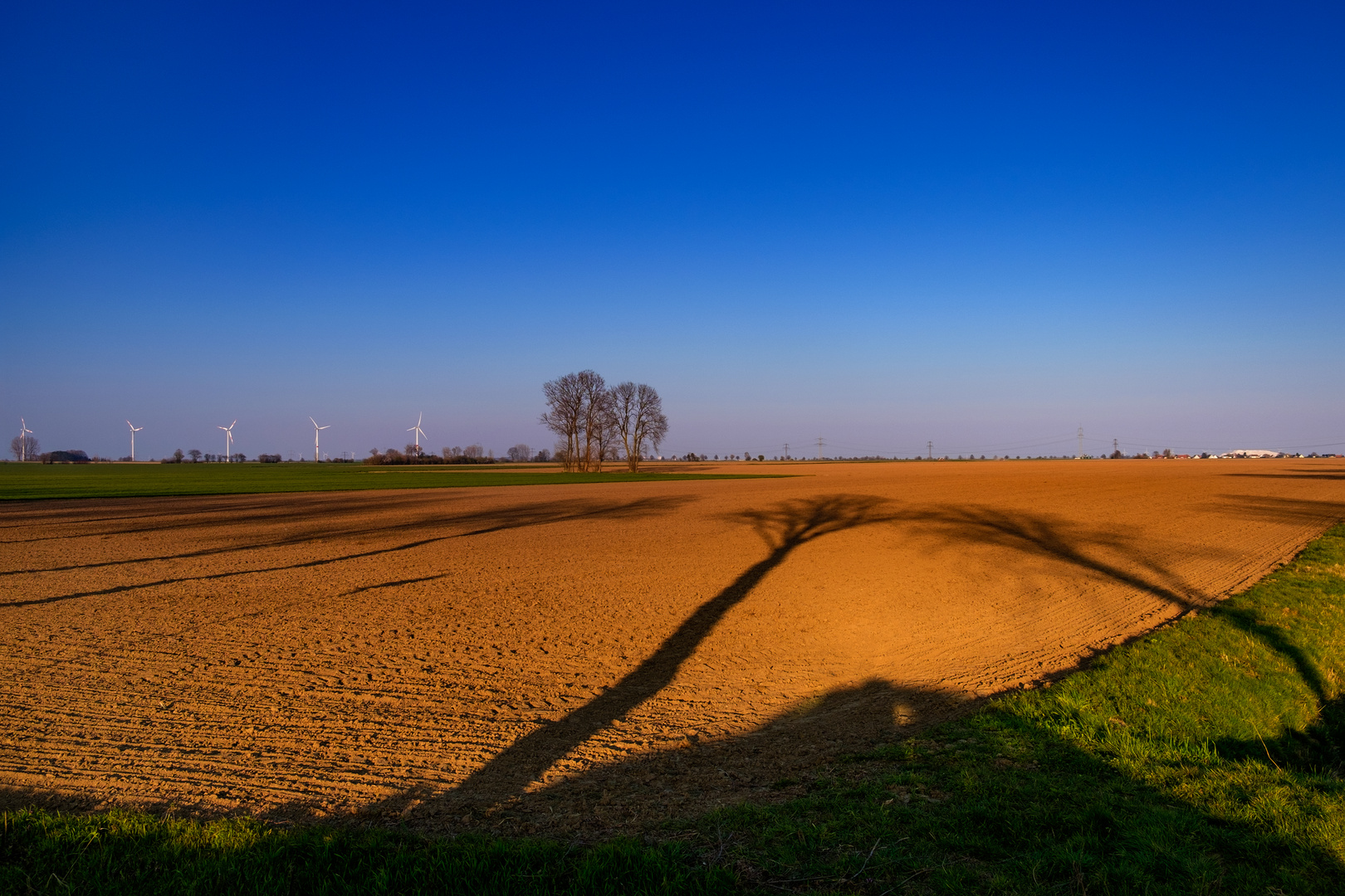 Schatten in der Dämmerung.