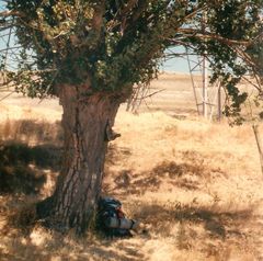 . . . Schatten in der Meseta . . .