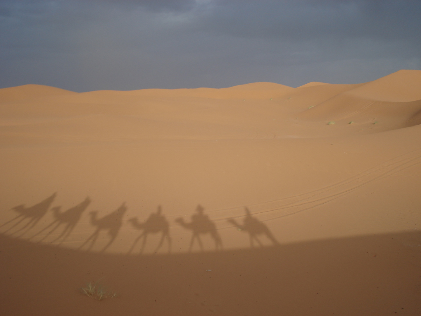 Schatten in der Sahara