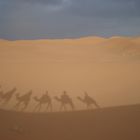 Schatten in der Sahara