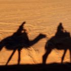 Schatten in der Wüste