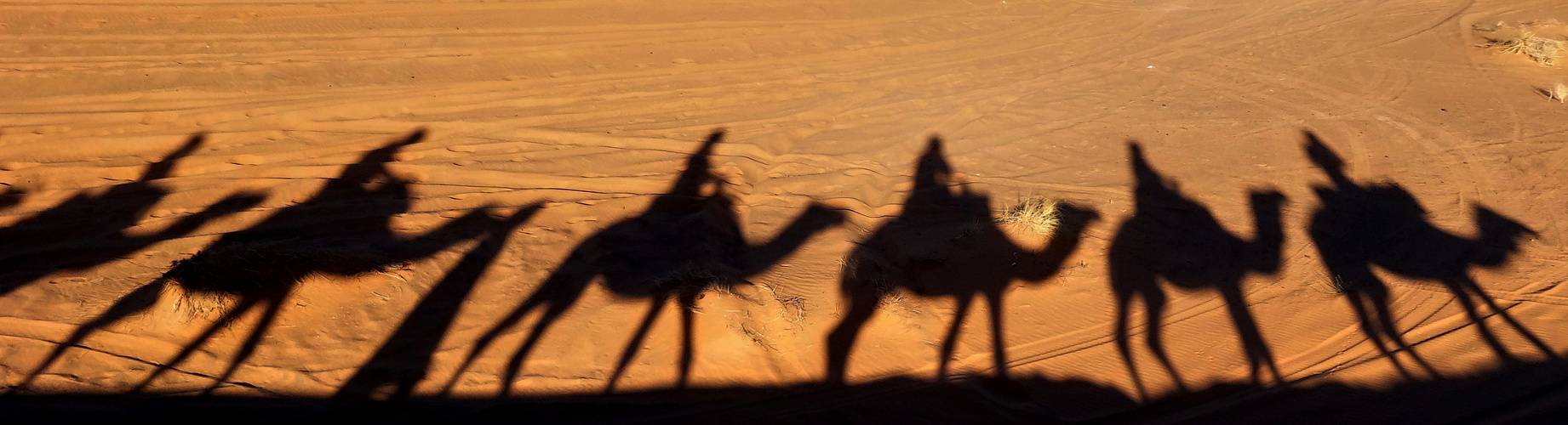 Schatten in der Wüste