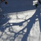 Schatten in Nachbars Garten