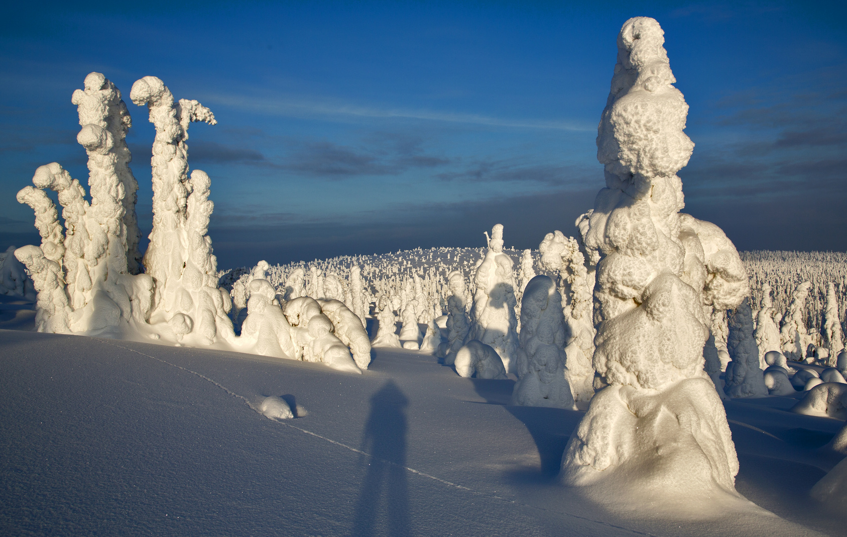 Schatten in Weiss