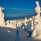 Schatten in Weiss