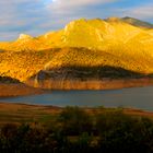 Schatten & Licht am See