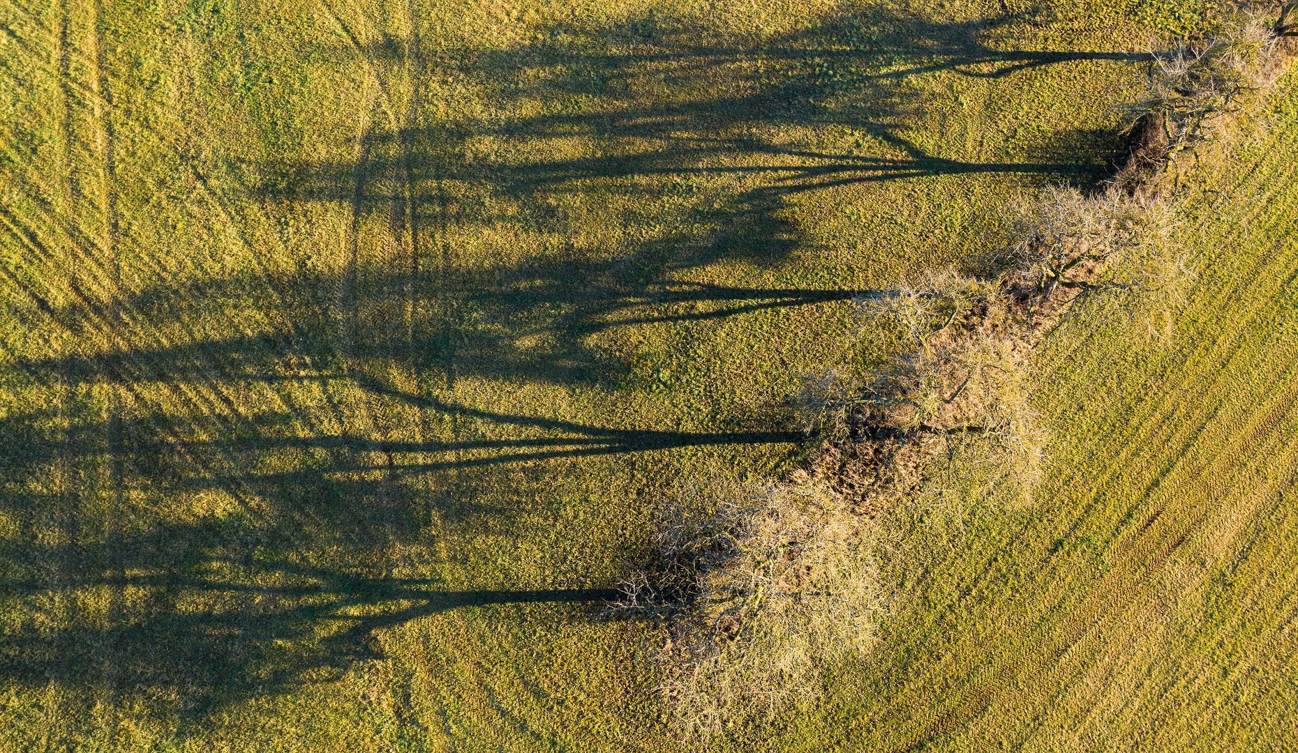 Schatten-Linien