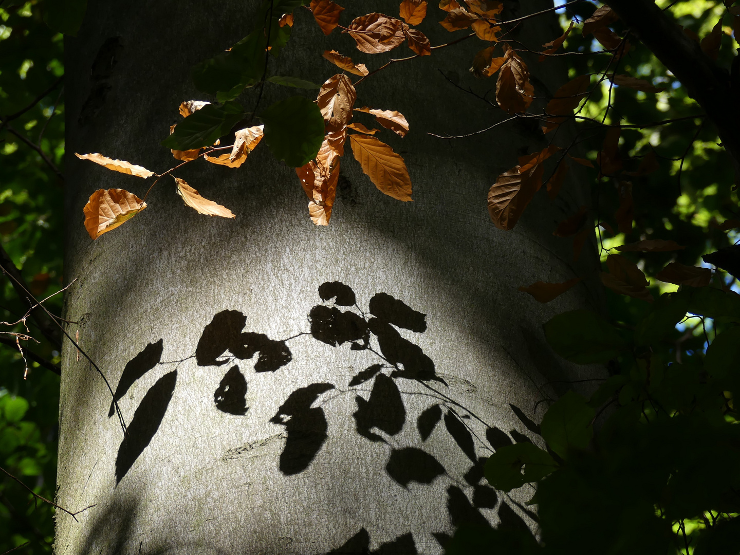 Schatten-Malen