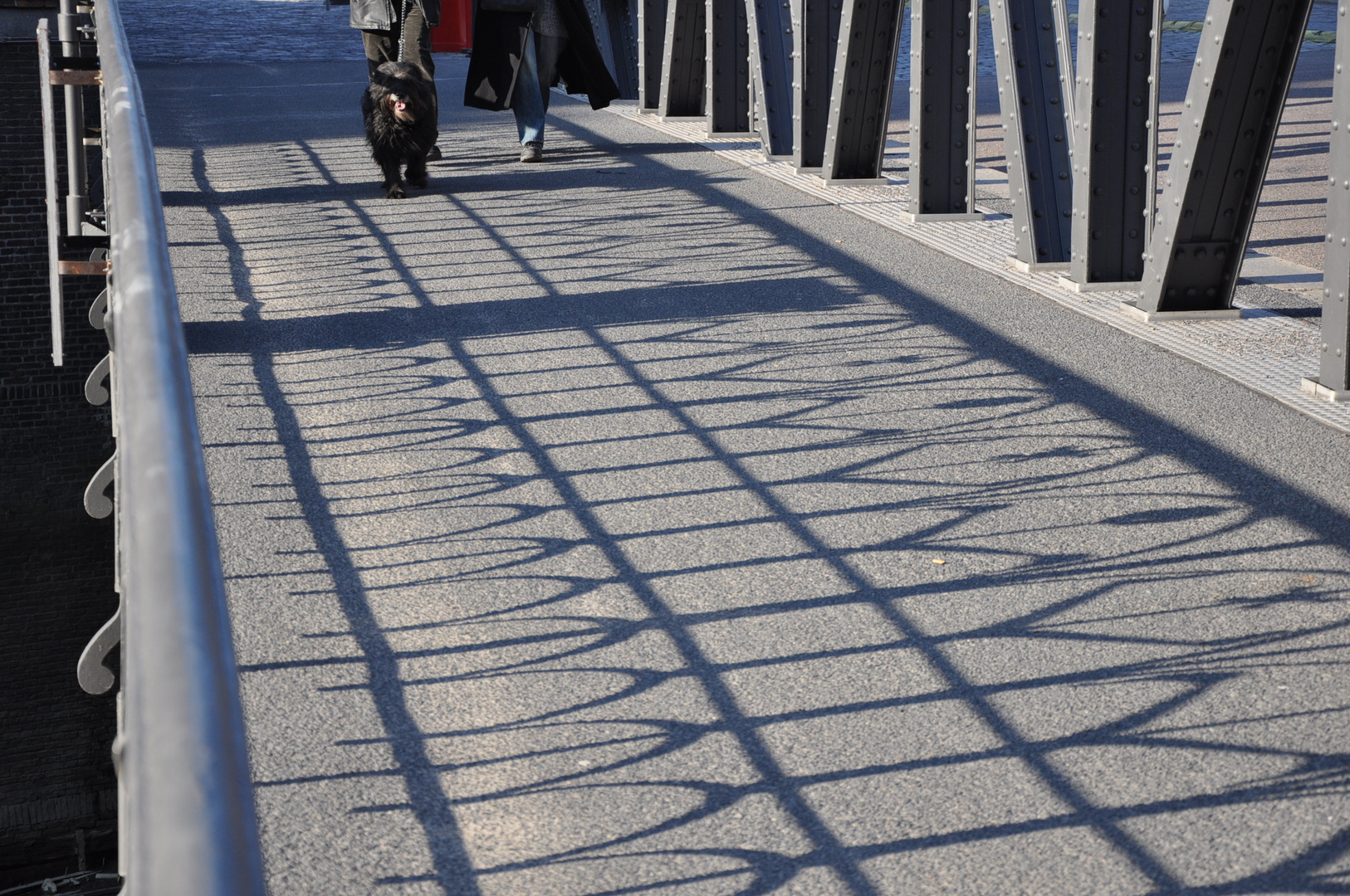 Schatten mit Hund