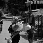 schatten spenden, inle see, burma 2011