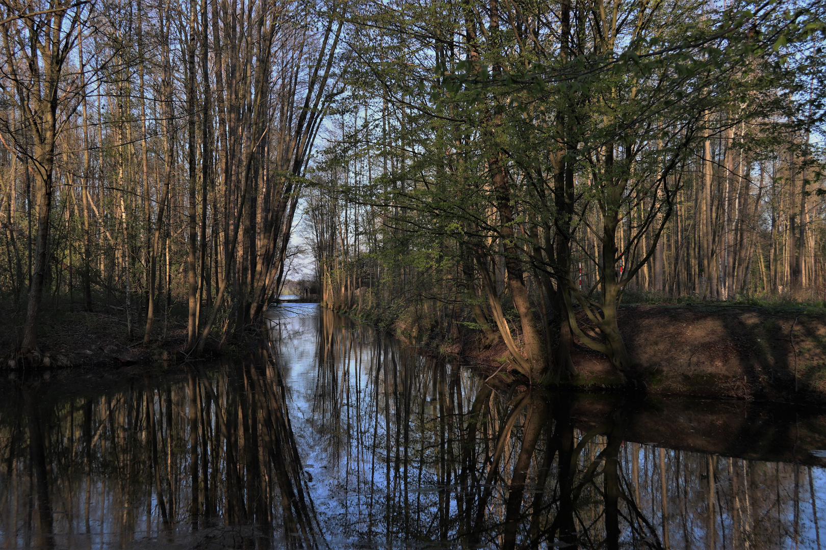 Schatten, Spiegelung und Wasser