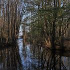 Schatten, Spiegelung und Wasser