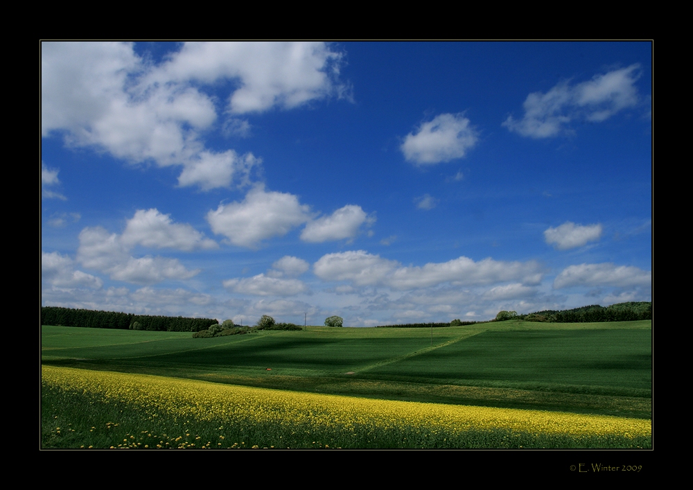 -SCHATTEN-SPIELE-