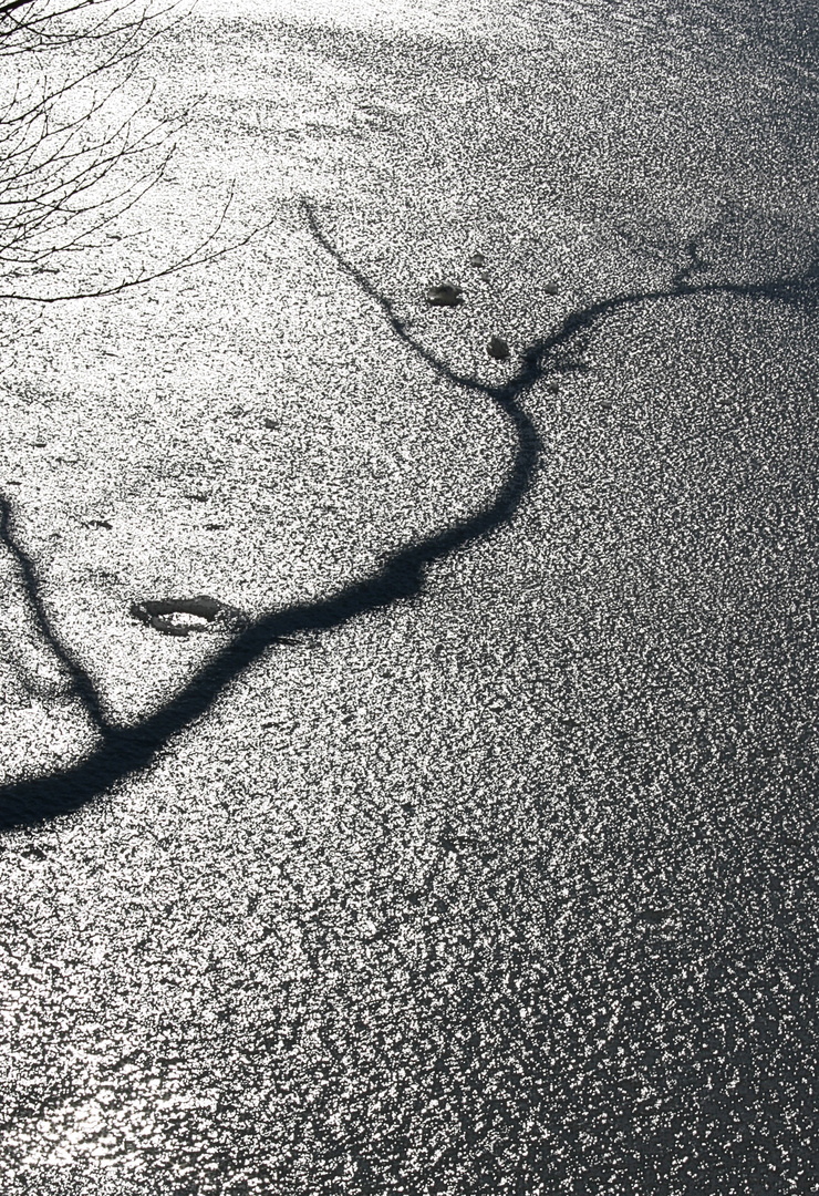 Schatten über dem Eis