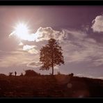 Schatten über Irland