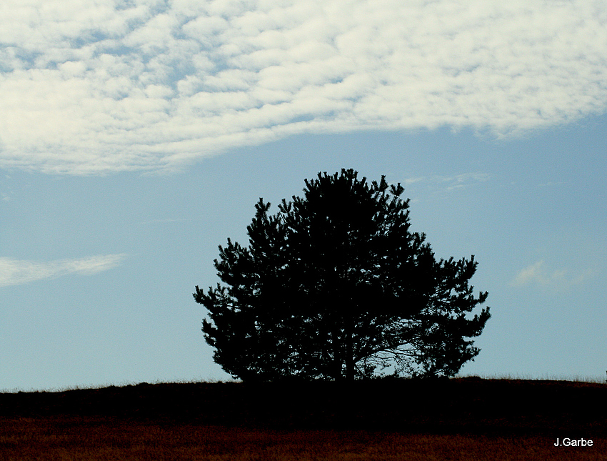 Schatten und Licht