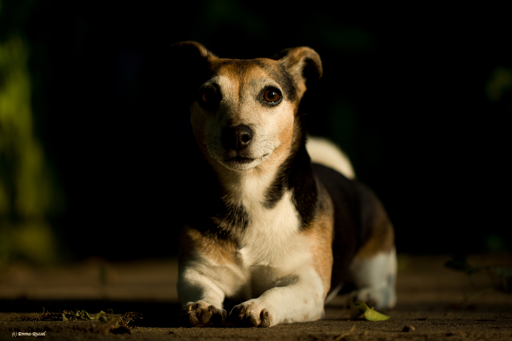 *Schatten und Licht*