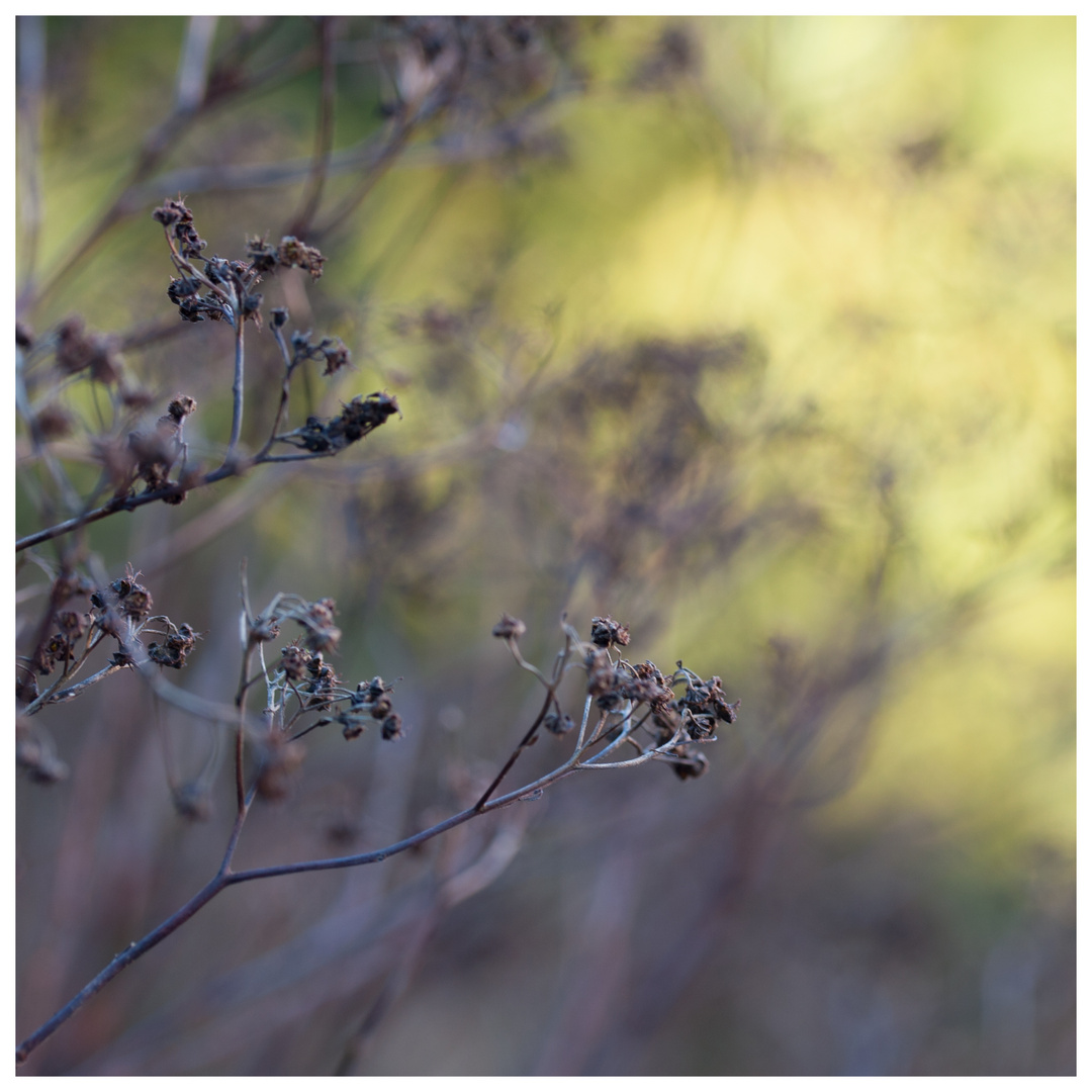 Schatten und Licht