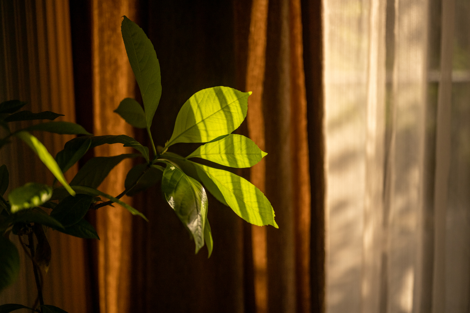 Schatten und Licht