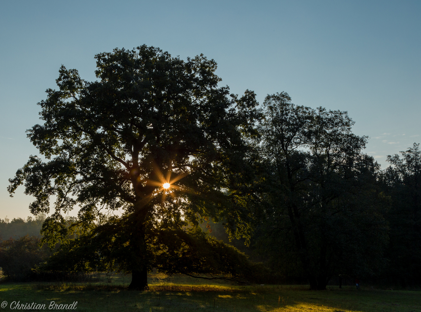 Schatten und Licht